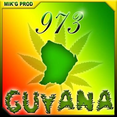 big up pour  mon pays la french gayana (973)